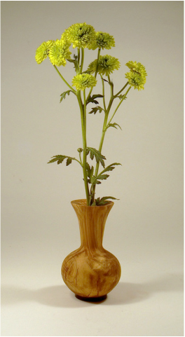 Small olive wood vase with glass insert by Ena Dubnoff Woodturner